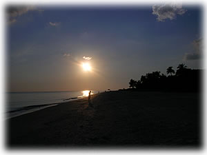 Sunset on the beach